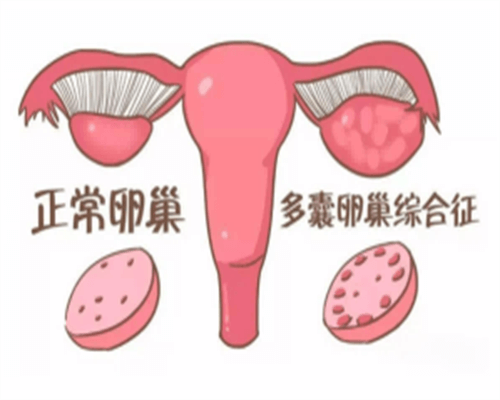 杭州男性单身可以做试管婴儿
