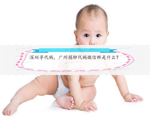 深圳寻代妈，广州捐卵代妈微信群是什么？