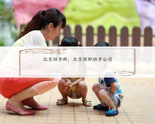 北京助孕群，北京供卵助孕公