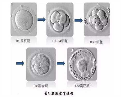 北京皇家生殖遗传医院妈妈招聘信息：子宫脱垂多久能助孕