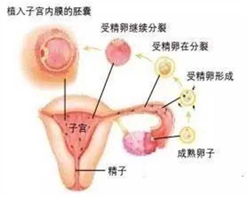 助孕七个月胎儿图助孕七个月胎儿图