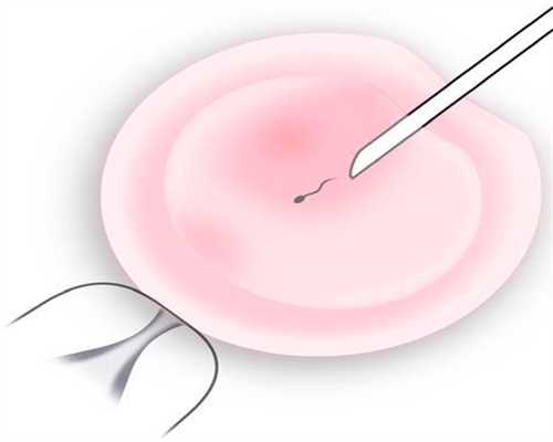 助孕七个月助孕七个月胎动是怎样的胎动情况解