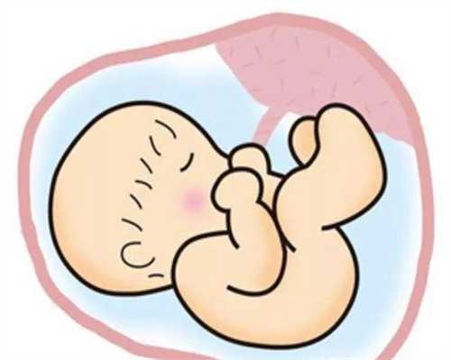 助孕1-40周完美食谱：泰国专业皇家生殖遗传医院机构